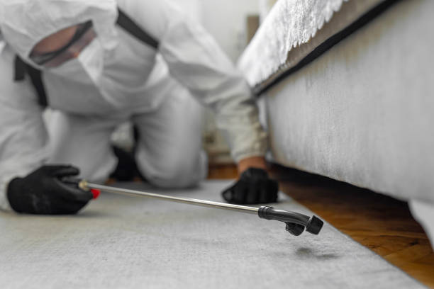 Professional Termite Control technician working in Wahoo, NE