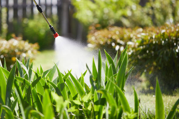 24/7 Emergency Termite Control experts in Wahoo, NE